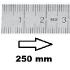 HORIZONTAL FLEXIBLE RULE CLASS II LEFT TO RIGHT 250 MM SECTION 13x0,5 MM<BR>REF : RGH96-G2250B0M0